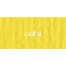 Картон цветной Fabriano Elle Erre 70x100 см 220 гр 25 cedro